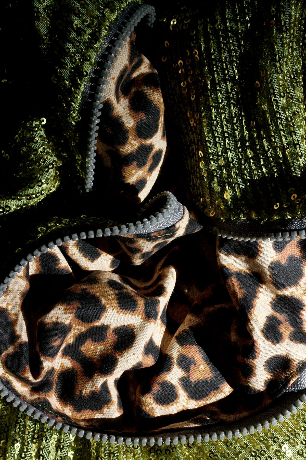FRANCESCO